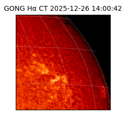 gong - 2025-12-26T14:00:42