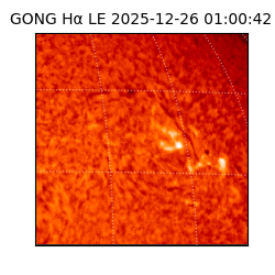 gong - 2025-12-26T01:00:42