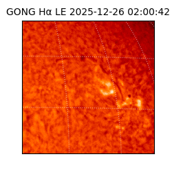 gong - 2025-12-26T02:00:42