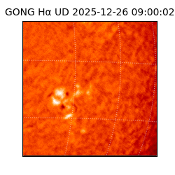 gong - 2025-12-26T09:00:02