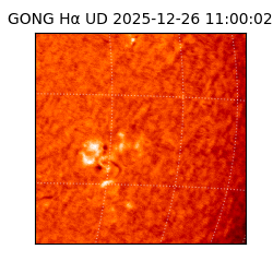 gong - 2025-12-26T11:00:02