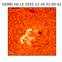 gong - 2025-12-26T01:00:42