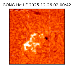 gong - 2025-12-26T02:00:42