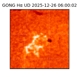 gong - 2025-12-26T06:00:02