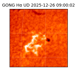 gong - 2025-12-26T09:00:02