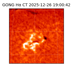 gong - 2025-12-26T19:00:42