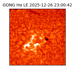 gong - 2025-12-26T23:00:42