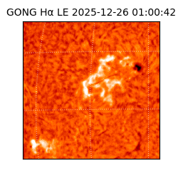 gong - 2025-12-26T01:00:42