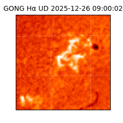 gong - 2025-12-26T09:00:02