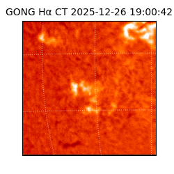 gong - 2025-12-26T19:00:42