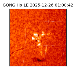 gong - 2025-12-26T01:00:42