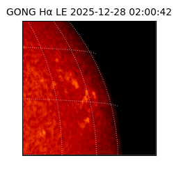 gong - 2025-12-28T02:00:42