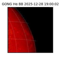 gong - 2025-12-28T19:00:02