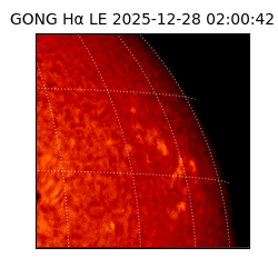 gong - 2025-12-28T02:00:42