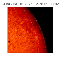 gong - 2025-12-28T09:00:02