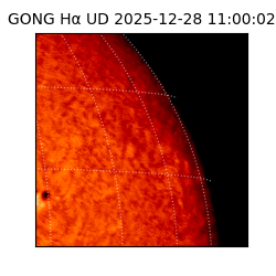 gong - 2025-12-28T11:00:02