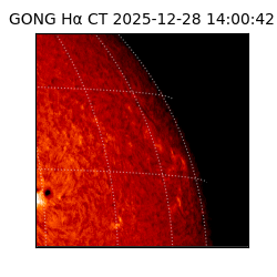 gong - 2025-12-28T14:00:42