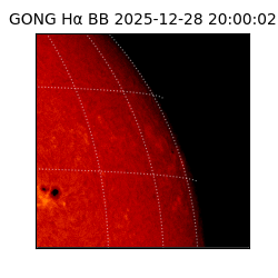 gong - 2025-12-28T20:00:02
