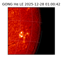 gong - 2025-12-28T01:00:42
