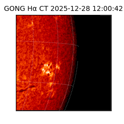 gong - 2025-12-28T12:00:42