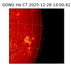 gong - 2025-12-28T14:00:42