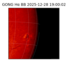 gong - 2025-12-28T19:00:02