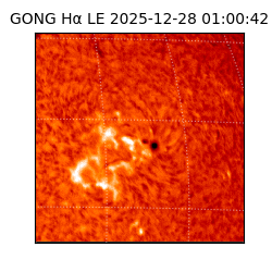 gong - 2025-12-28T01:00:42