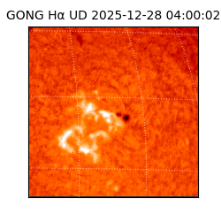 gong - 2025-12-28T04:00:02