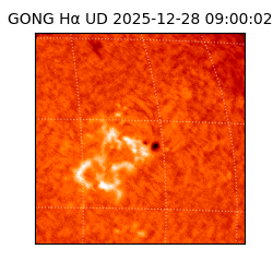 gong - 2025-12-28T09:00:02
