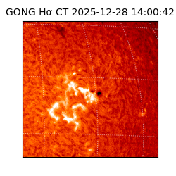 gong - 2025-12-28T14:00:42