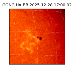 gong - 2025-12-28T17:00:02