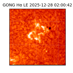gong - 2025-12-28T02:00:42