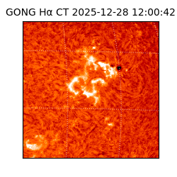 gong - 2025-12-28T12:00:42