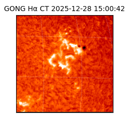 gong - 2025-12-28T15:00:42
