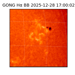gong - 2025-12-28T17:00:02