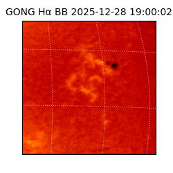 gong - 2025-12-28T19:00:02