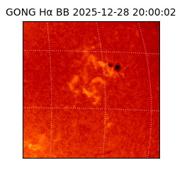 gong - 2025-12-28T20:00:02