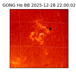 gong - 2025-12-28T22:00:02
