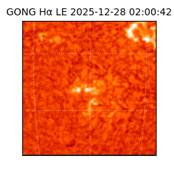 gong - 2025-12-28T02:00:42