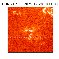 gong - 2025-12-28T14:00:42