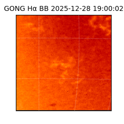 gong - 2025-12-28T19:00:02