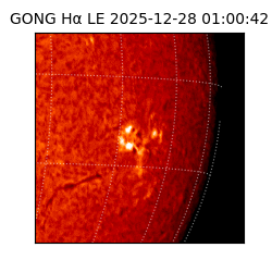 gong - 2025-12-28T01:00:42