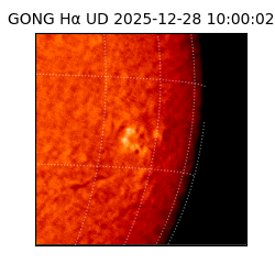 gong - 2025-12-28T10:00:02