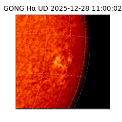 gong - 2025-12-28T11:00:02