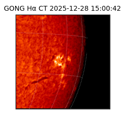 gong - 2025-12-28T15:00:42