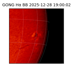 gong - 2025-12-28T19:00:02