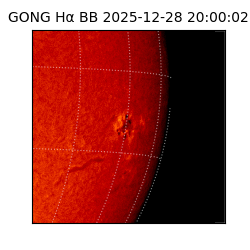 gong - 2025-12-28T20:00:02