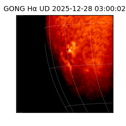 gong - 2025-12-28T03:00:02