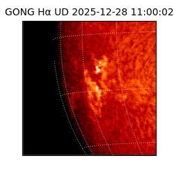 gong - 2025-12-28T11:00:02