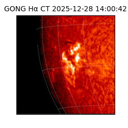 gong - 2025-12-28T14:00:42